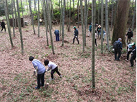  �����s�a�Ӓ� �^�P�m�R�x�̌�