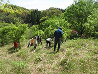 ��������̐X�@�R�؎��n�̌�