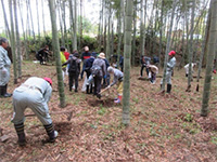 �����s�a�Ӓ� �^�P�m�R�x�̌�