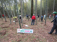 �����s�a�Ӓ� �^�P�m�R�x�̌�