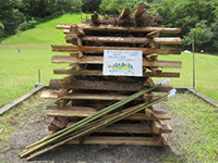 �L�����v�t�@�C���[