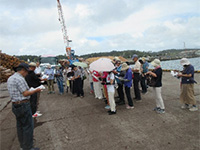  �u�z�u�`�i�؍ޗA�o�̌���j