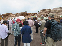  �u�z�u�`�i�؍ޗA�o�̌���j