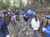 �V�C�^�P���n