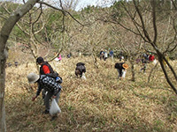 �ߓc�_���i���͔��d�j