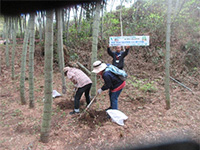 �^�P�m�R�@��̌��i�a�Ӓ|�сj