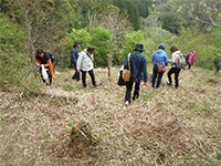 �R�؎��n�̌��i��������̐X�j