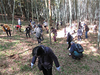 �^�P�m�R�@��̌��i�k�R�|�сj