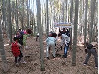 �^�P�m�R�@��̌��i�k�R�|�сj