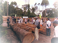 �k�F�X�ёg���؍ޗ��ʃZ���^�[