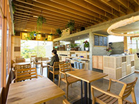 �_���K�[�f����