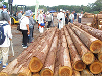 �k�F�X�ёg���؍ޗ��ʃZ���^�[