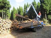 ホワダーによる搬出作業