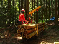 林内作業車による搬出作業