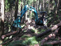 フォアダーによる集材作業