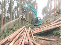 林内作業車による搬出作業