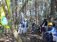 樹高当てクイズ