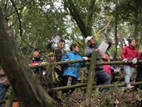 森の散歩(森林散策)